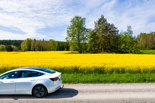 Blooming rapeseed field with car on foreground