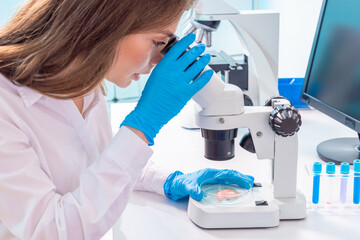 Inspection of meat and fish quality in the food quality laboratory