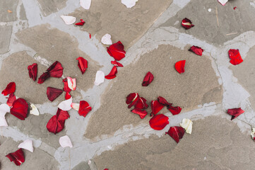 A lot of scattered, multi-colored rose petals, flowers close-up lie on the gray tiles. Wedding ceremony. Flower ritual.