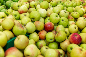 Lots of seasonal green apples on the counter. Healthy eating and vegetarianism.