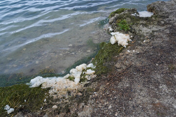 Foam in polluted water in a lake shore