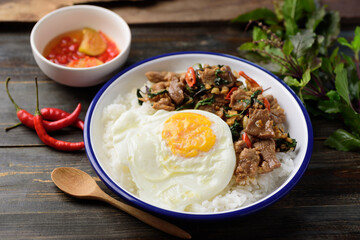 Thai food (Pad Kaprao Moo Kai Dao), Stir fried pork with basil and fried egg on cooked rice eating with chili in fish sauce 