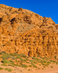 Fototapeta premium Arid Landscape Brava Lagoon Reserve La Rioja, Argentina