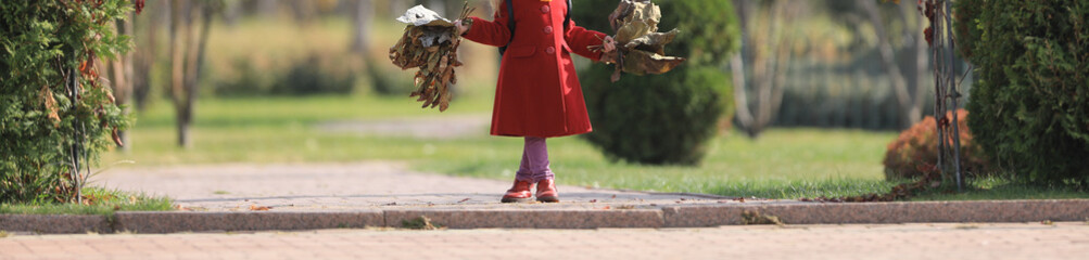Fototapeta premium little girl in a red coat with autumn leaves