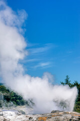 Pohutu Geyser erupting