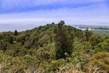 Fototapeta na wymiar View of Auckland Region and Hauraki Gulf in New Zealand