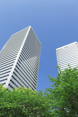 大阪、新緑の大阪ビジネスパーク付近