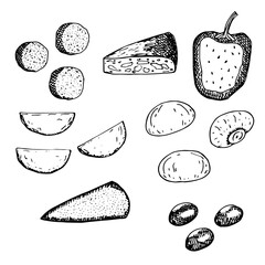 Set of traditional Spanish tapas, vector illustration, croquettes, tortilla, stuffed peppers, patatas bravas, mushrooms, grilled cheese, olives, hand drawing