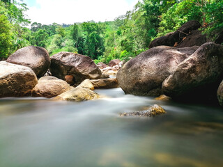 Long exposure stream in deep forest.