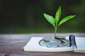 Fototapeta na wymiar Green tree growing on money coins, ,saving, growth, sustainable development, economic concept