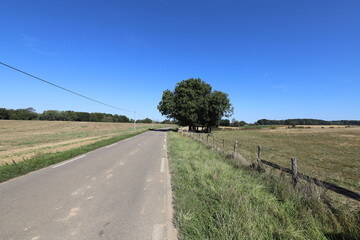 Fototapeta na wymiar View of a french rural country road at summer on a sunny day.