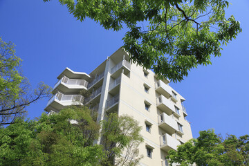マンションと新緑の葉っぱ