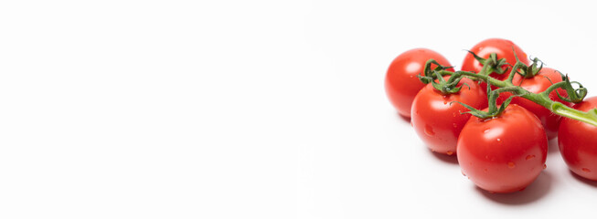 Panorama bakground wiht small tomatoes
