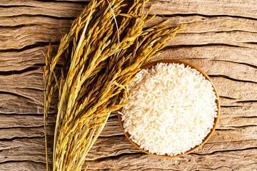Rice in wooden bowl with paddy rice on rustic wood background,Rice of famer in Thailand.