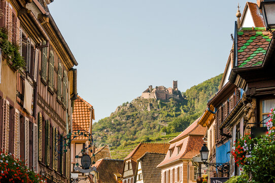 Ribeauvill&eacute;, Weindorf, Weinstrasse, Burgen, Ruinen, Wehrburgen, Schl&ouml;sser, Elsass, Haut-Rhin, Grand Est, Weinberge, Herbst, Frankreich