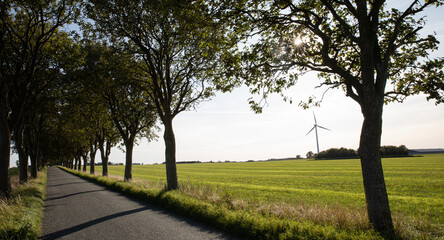 alley with a road and a star bust