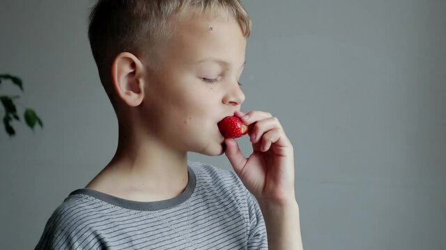 Little boy eats strawberries at Home. Causal Lifestyle.

