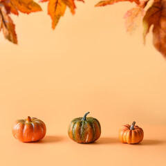 Naklejka na ściany i meble Three pumpkins for Thanksgiving day or Halloween party on orange background with copy space.