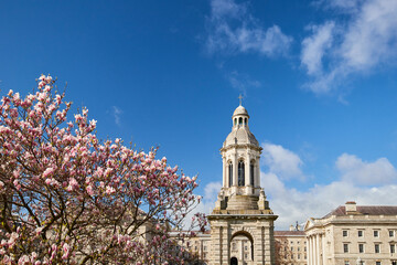 Fototapeta na wymiar Trinity College in Dublin, Ireland