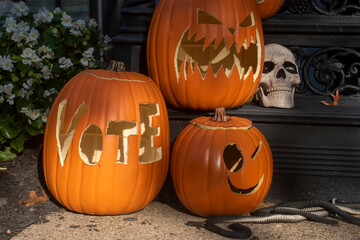 Vote for the pumpkin of your choice, but VOTE!