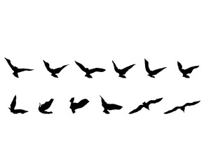 Fototapeta na wymiar Flock of birds in flight. Isolated silhouette on white background