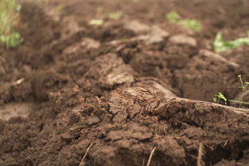 freshly plowed soil in the field    