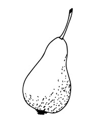 Simple vector black outline drawing. Pear isolated on a white background. Garden fruits, farm products. For prints, labels, market. Children's coloring.
