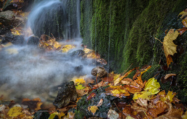 yellow leaves on the background of a waterfall. Stones, autumn leaves and water. Peace and tranquility.
