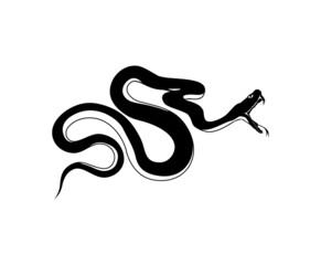 snake vector silhouette with black and white color