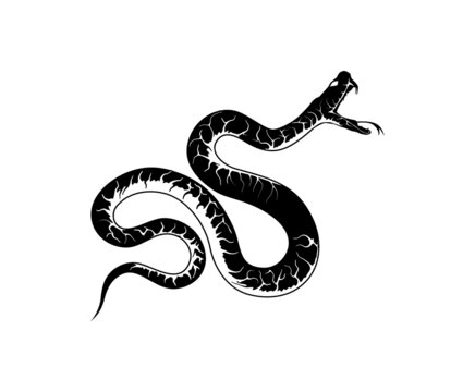 black mamba snake vector illustration with hand drawn style