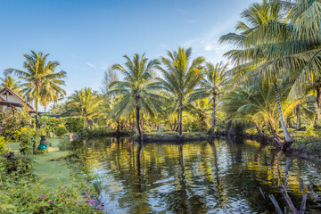 Fototapeta na wymiar Pond surrounded by palm trees near the village in the jungle
