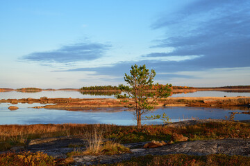 Sunrise on the White Sea in Karelia, Russia
