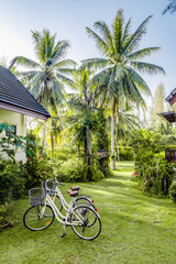 Two white bicycles on the lawn with palm trees between the houses