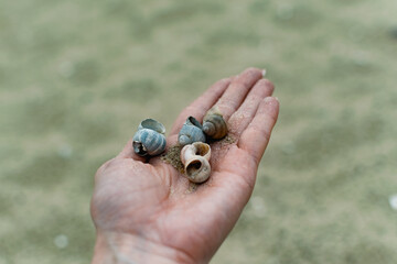 River shells and fine white river sand fall from a woman's hand in nature