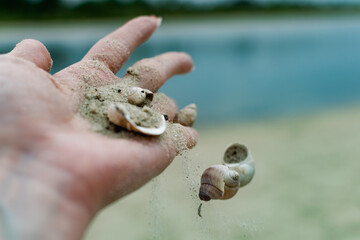 River shells and fine white river sand fall from a woman's hand in nature