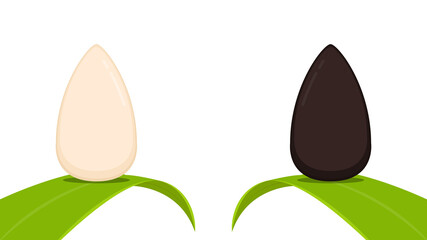 Black and white sesame design. Sesame seed on white background.