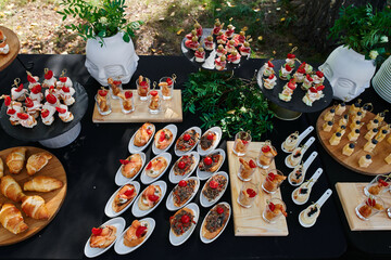 Outdoor catering banquet in summer. Table with snacks and canapes  at a summer banquet