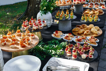 Outdoor catering banquet in summer. Table with snacks, canapes and fruits at a summer banquet