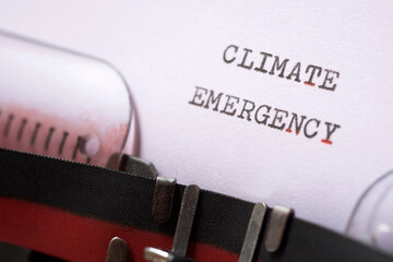 Climate emergency phrase