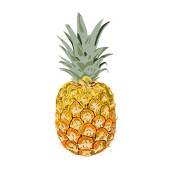 Thailand summer tropical fruits. Pineapple, half of fruit. Rich of vitamins and minerals. Vector illustration cartoon flat icon isolated on white.
