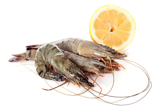 raw gambas
