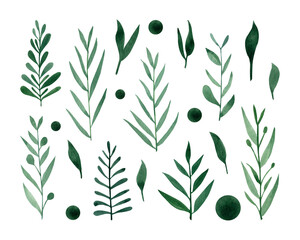 Cute hand drawn forest leaves and branch set. Watercolor illustration leaves for wedding decoration and arrangements.
