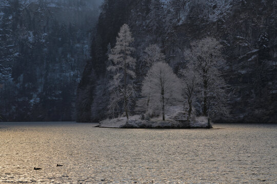 Die Insel Christlieger im winterlichen K&ouml;nigssee