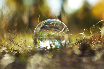 A lens ball in nature. Forest view through the glass ball in blur.