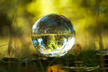 A lens ball in nature. Forest view through the glass ball in blur.