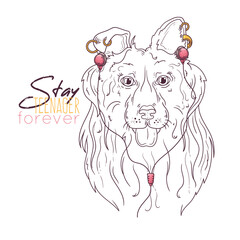 Hand drawn portrait of collie dog in accessories Vector.