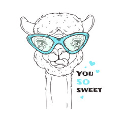 Hand drawn portrait of cute alpaca Vector.