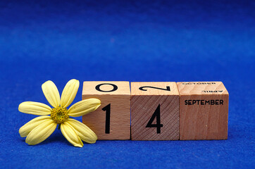 14 September on wooden blocks with a yellow flower on a blue background