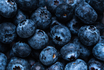 background of fresh juicy blueberries. Close up, macro