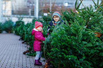 Two little siblings toddler girl and kid boy holding Christmas tree on a market. Happy children in winter fashion clothes choosing and buying Xmas tree in outdoor shop. Family, tradition, celebration